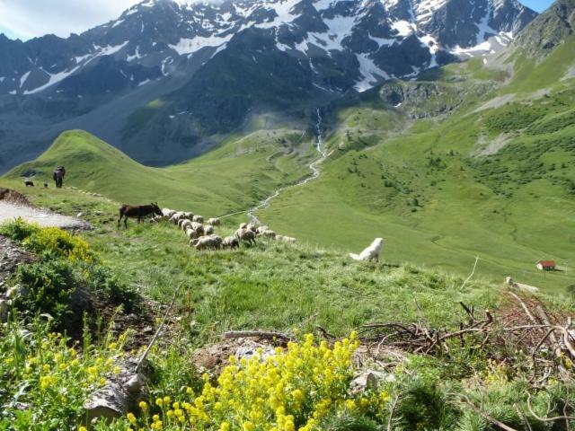 Apartment La Meije Blanche Villar-dʼArène Zewnętrze zdjęcie